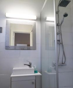 La salle de bains est pourvue d'une douche, d'un lavabo et d'un miroir. dans l'établissement Holiday Cottage, à Waulsort