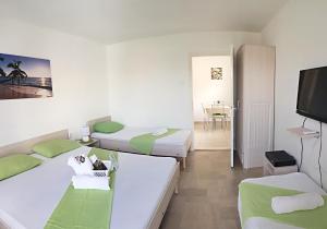 a hotel room with two beds and a television at Apartments Villa Naumovi in Star Dojran