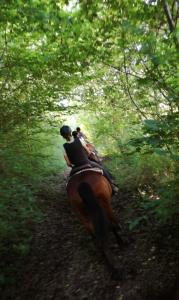 アックアペンデンテにあるSan Filippoの森の馬に乗る二人