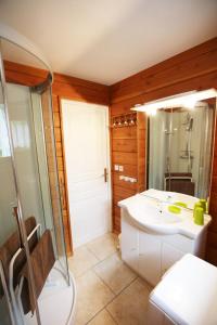 een badkamer met een wastafel, een douche en een toilet bij Chalet de Grettery in Saulxures-sur-Moselotte