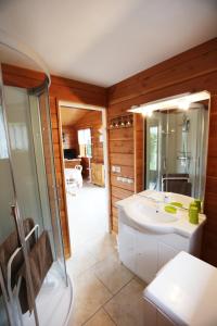 Saulxures-sur-MoselotteにあるChalet de Gretteryのバスルーム(白いシンク、シャワー付)