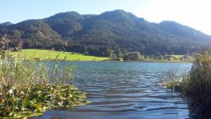 Paesaggio naturale nelle vicinanze dell'hotel