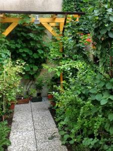 a garden with a wooden pergola and plants at Kleine Apartments in Torgau