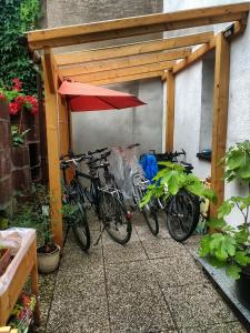 eine Gruppe von Fahrrädern, die unter einer Holzkonstruktion geparkt werden in der Unterkunft Kleine Apartments in Torgau