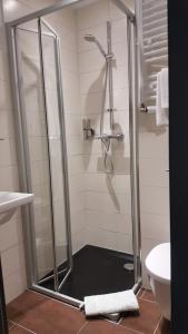 y baño con ducha y puerta de cristal. en StadtHotel Bad Fallingbostel, en Bad Fallingbostel