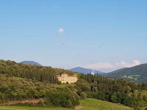 a large house on top of a hill with trees at Agriturismo Da Pietro in Pomarance
