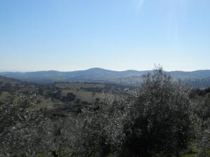 Príroda v okolí apartmánu