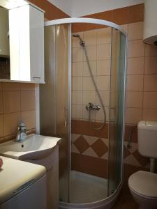 eine Dusche im Bad mit Waschbecken und WC in der Unterkunft Marko Apartment in Pula