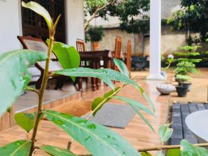 Giardino di Perfect Hideout