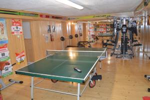 Stolný tenis v ubytovaní Penzion 409 alebo v jeho okolí
