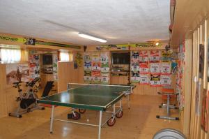 Stolný tenis v ubytovaní Penzion 409 alebo v jeho okolí