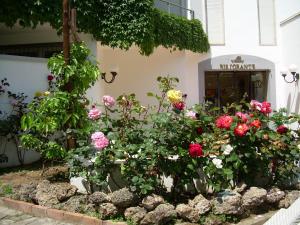 Zahrada ubytování Hotel Baia