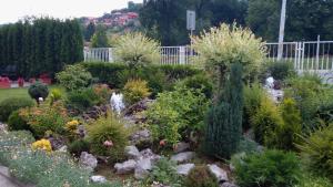 Ogród w obiekcie Garni hotel Alma