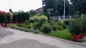 Ogród w obiekcie Garni hotel Alma