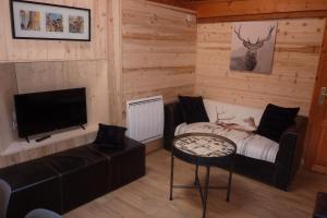 a living room with a couch and a tv at Le Roselend in Sainte-Foy-Tarentaise