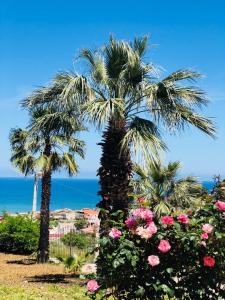 アルカモ・マリーナにあるAurora Homeの海を背景にした2本のヤシの木と花