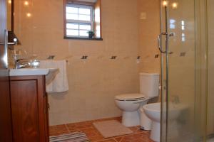 ein Bad mit einem WC, einem Waschbecken und einer Dusche in der Unterkunft Adega Mendes in Porto Martins