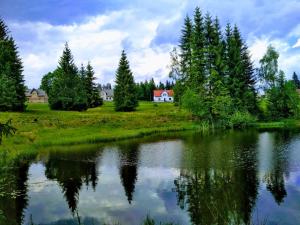 jezioro z drzewami i dom w tle w obiekcie Apartment-Chalet-Chaloupka U Trnků w mieście Lázně Kynžvart