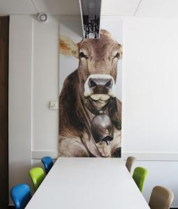 Zvířata v hotelu nebo okolí