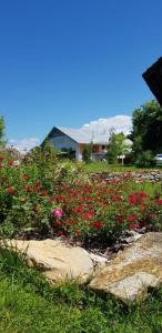 a field of flowers with a house in the background at Hillside Bio Resort Delux Apartments in Šešče pri Preboldu