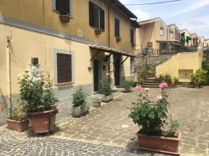 eine Gruppe von Topfpflanzen vor einem Gebäude in der Unterkunft Casa Bertocco in Canale Monterano