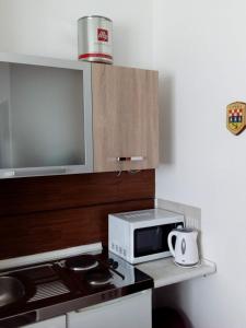 una cucina con forno a microonde e piano cottura forno superiore di Adriatica Apartments a Škrljevo
