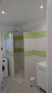 a bathroom with a shower and a washing machine at LES LAUZES DE ST MICHEL-LA SARRIETTE in Entrechaux +9 photos