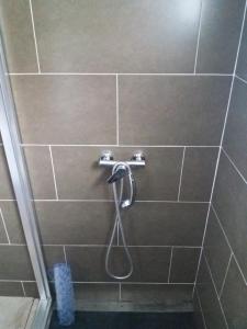 eine Dusche mit Duschkopf in einem Badezimmer in der Unterkunft Vista Funchal in Funchal + 50 Fotos