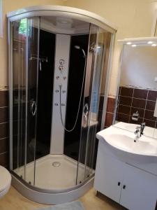 a bathroom with a shower and a sink at Fenyves Ferienhaus 1 **** in Balatonfenyves