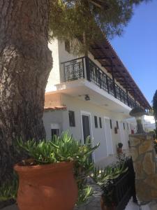 a white house with a tree in front of it at Neraida Studios in Tsilivi