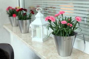 Fotografie z fotogalerie ubytování Apartment West v destinaci Rijeka