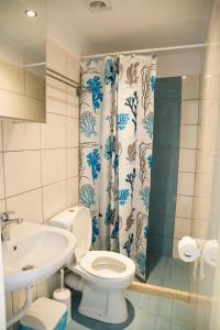 a bathroom with a toilet and a sink at Orfeas Rooms in Vasiliki