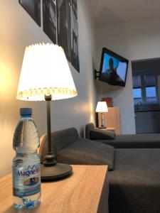 TV a/nebo společenská místnost v ubytování Polanka + 9 fotografií