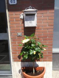 サン・ピエーロ・ア・シエーヴェにあるAffittacamere La Terrazzaの煉瓦壁前の鉢植え