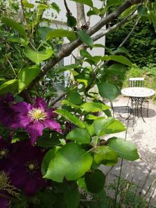 a tree with purple flowers next to a table at The Beekeeper's Cottage in Saint Columb Major