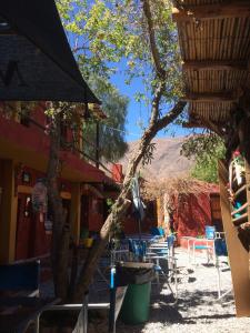 a tree with a view of the mountains in the background at Tilcara Mistica Hostel in Tilcara