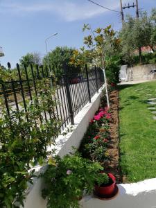 Vonkajšia záhrada v ubytovaní White Paradise