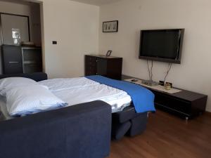 TV a/nebo společenská místnost v ubytování Apartments Mari