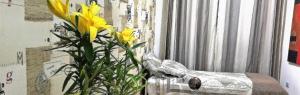 a yellow flower in a vase next to a window at Mello's House in Curitiba