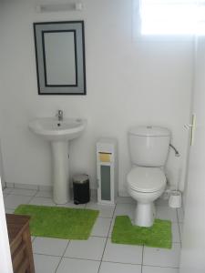 ein Bad mit einem WC und einem Waschbecken in der Unterkunft Ti'Chouchou in Ravine Chaude