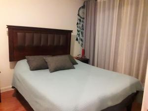 uma cama com duas almofadas num quarto em Centro Anita em Santiago