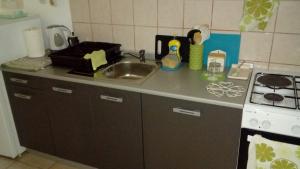 Kuchyňa alebo kuchynka v ubytovaní Apartmani ZP44