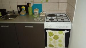Kuchyňa alebo kuchynka v ubytovaní Apartmani ZP44
