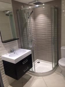 y baño con ducha, lavabo y aseo. en MSM locations, en Luxeuil-les-Bains
