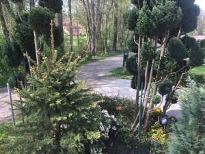 Ein Garten an der Unterkunft Ferienwohnung Rosi Stoppa
