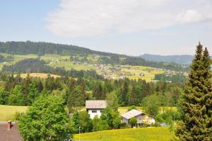 a village in the mountains with trees and houses at Haus Berchtold in Alberschwende