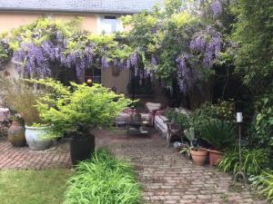 einen Garten mit einem Haufen Pflanzen und lila Blumen in der Unterkunft Clos de Royaucourt in Royaucourt