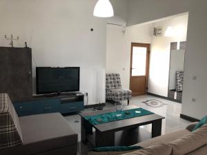 a living room with a couch and a tv at Apartments and Villas Janev in Star Dojran