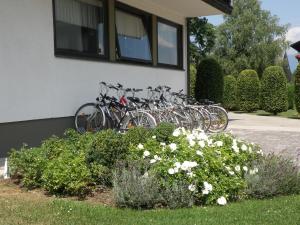 Rattasõit majutusasutuse Appartements Koffler aladel või selle läheduses