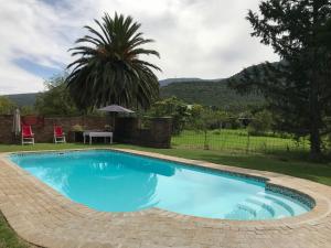 a blue swimming pool with a table and a palm tree at Gate 66 in Somerset East
